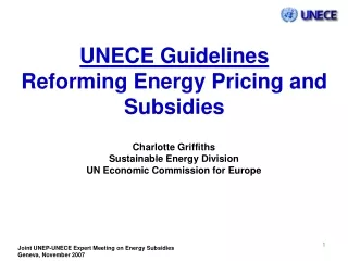 UNECE Guidelines Reforming Energy Pricing and Subsidies