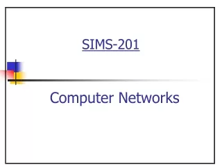 SIMS-201