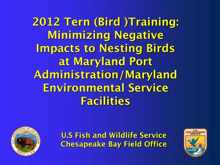 2012 tern bird training minimizing negative