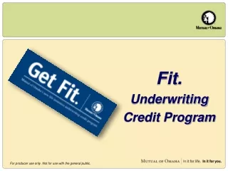Fit. Underwriting Credit Program