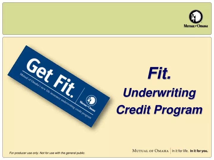 fit underwriting credit program