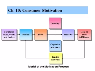 Ch. 10: Consumer Motivation