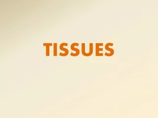 TISSUES