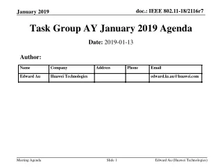 Task Group AY January 2019 Agenda