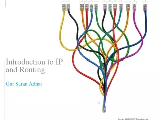 Introduction to IP and Routing Gur Saran Adhar