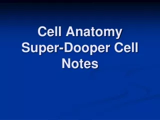 Cell Anatomy  Super- Dooper  Cell Notes
