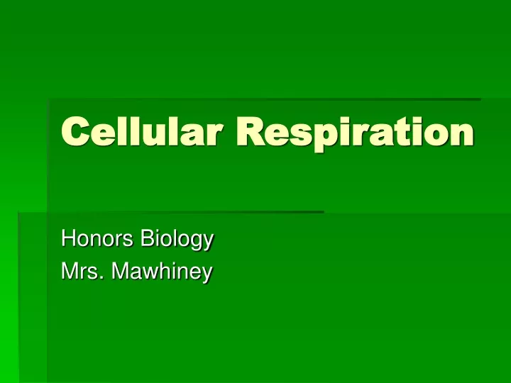 cellular respiration