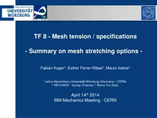 TF 8 - Mesh tension / specifications - Summary on mesh stretching options -