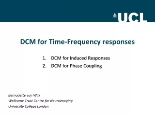 DCM for Time-Frequency responses