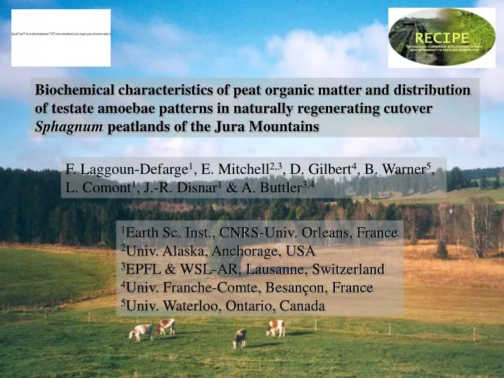 biochemical characteristics of peat organic