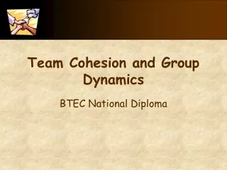Team Cohesion and Group Dynamics