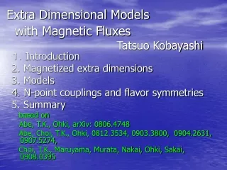 Extra Dimensional Models    with Magnetic Fluxes   Tatsuo Kobayashi