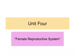 Unit Four