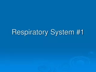 Respiratory System #1