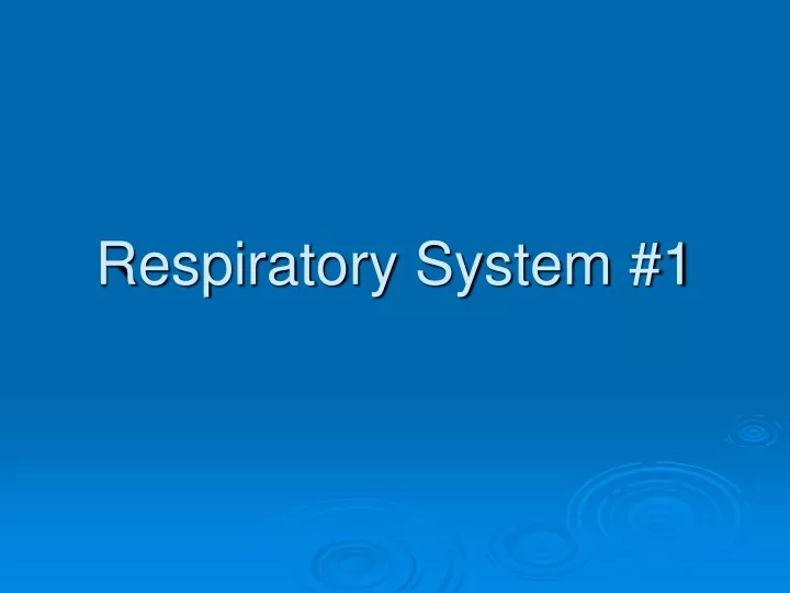 respiratory system 1