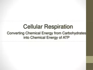 Cellular Respiration