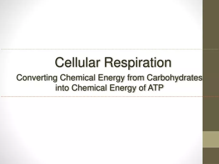 cellular respiration