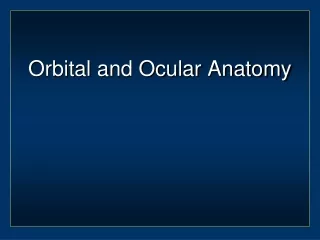 Orbital and Ocular Anatomy
