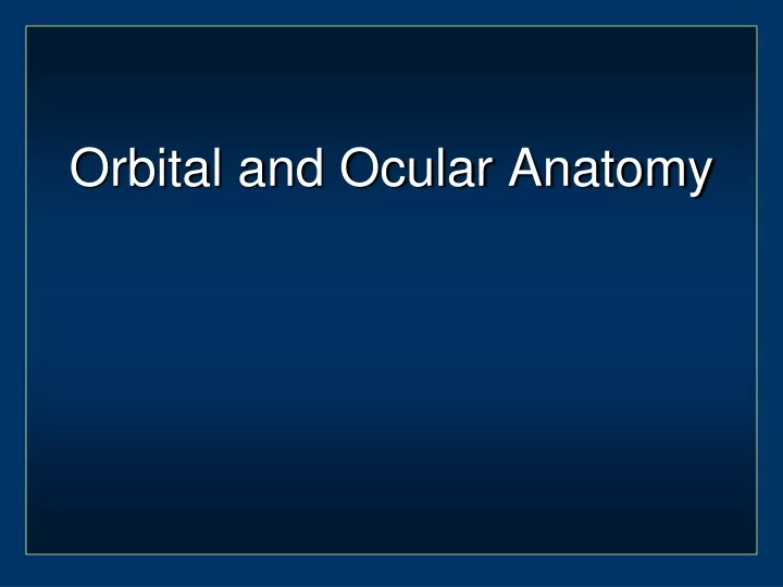 orbital and ocular anatomy