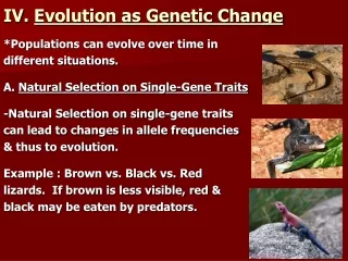 IV.  Evolution as Genetic Change