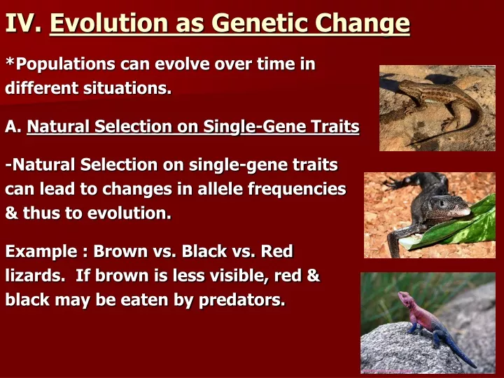iv evolution as genetic change