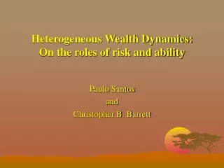 Heterogeneous Wealth Dynamics: On the roles of risk and ability