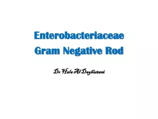 Enterobacteriaceae Gram Negative Rod Dr  Hala  Al  Daghistani