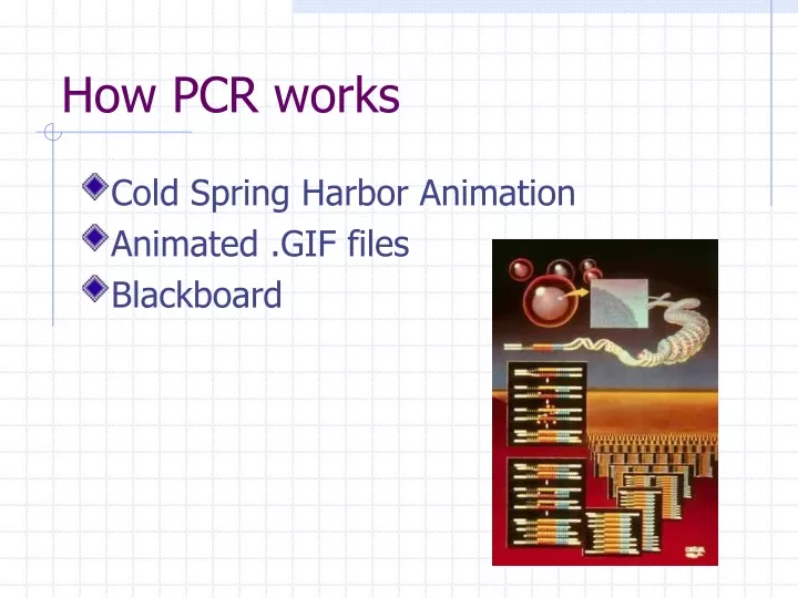 how pcr works