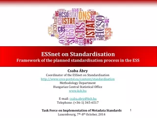 ESSnet on Standardisation Framework of the planned standardisation process in the ESS