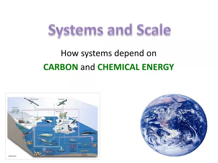 how systems depend on carbon and chemical energy