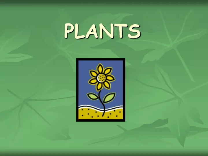 plants