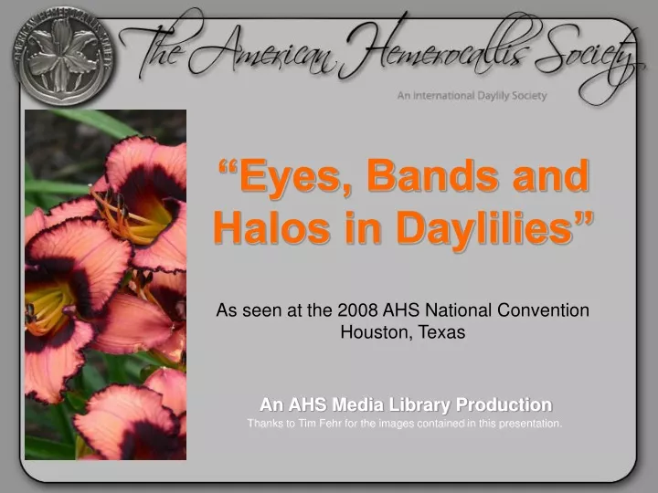 eyes bands and halos in daylilies as seen