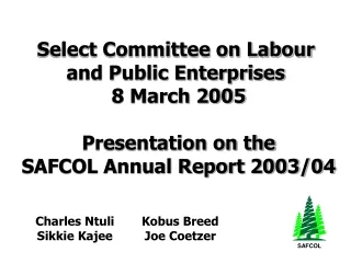 Select Committee on Labour  and Public Enterprises  8 March 2005 Presentation on the