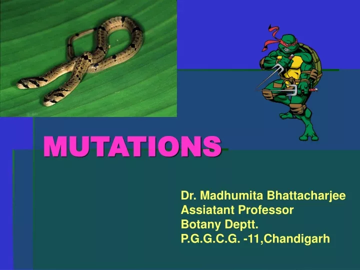 mutations
