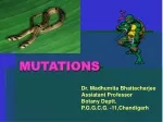 MUTATIONS - slide 1