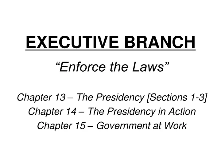 executive branch