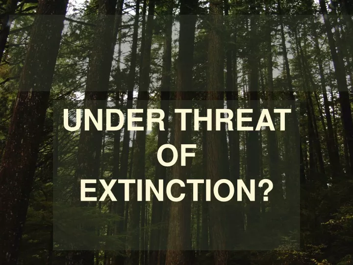 under threat of extinction