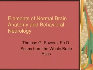 Elements of Normal Brain Anatomy and Behavioral Neurology