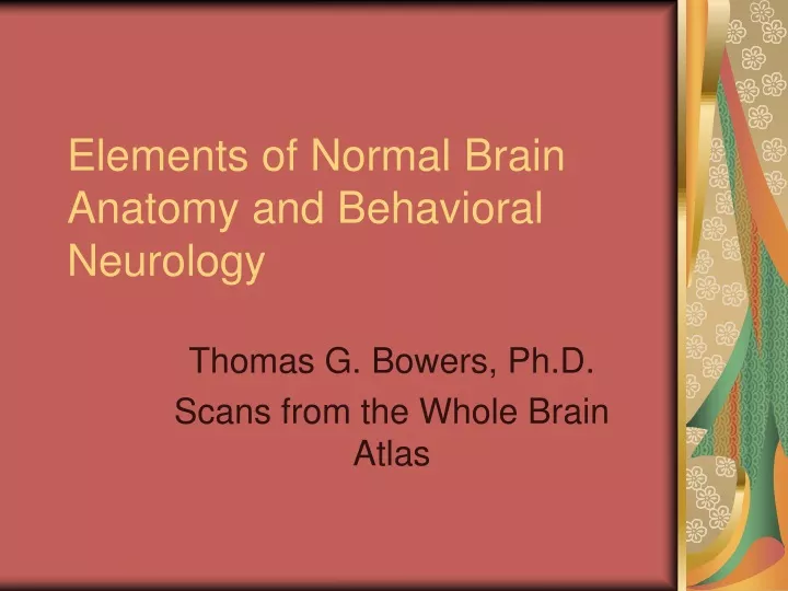 elements of normal brain anatomy and behavioral neurology