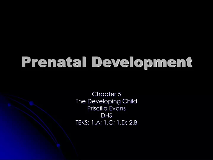 prenatal development