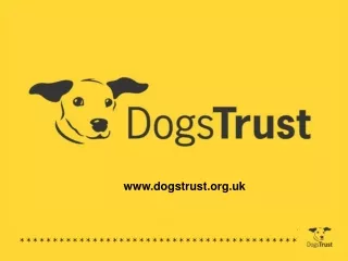 dogstrust.uk