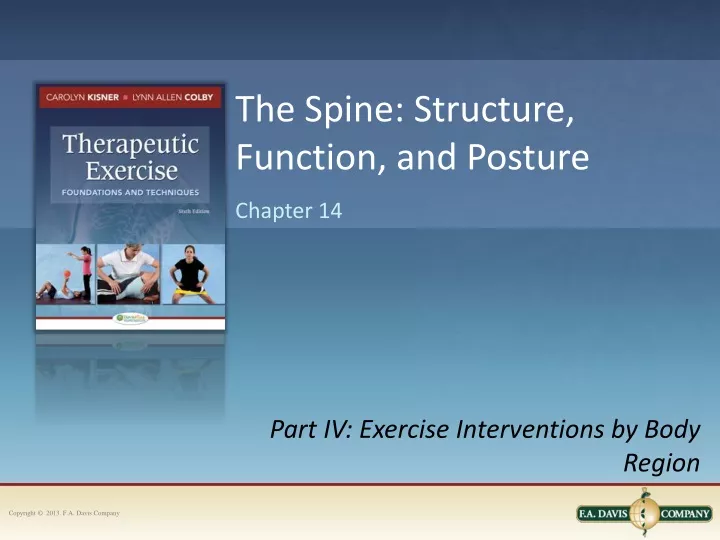 the spine structure function and posture