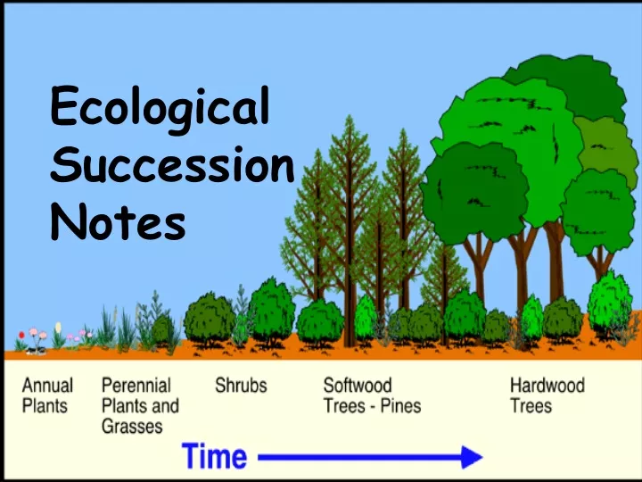 ecological succession notes