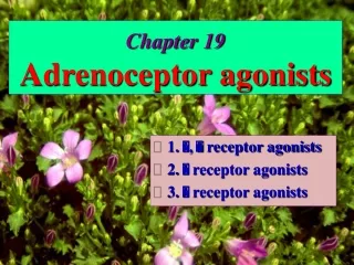 Chapter 19 Adrenoceptor agonists