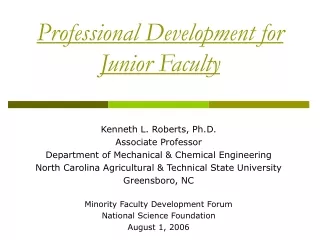 Professional Development for Junior Faculty