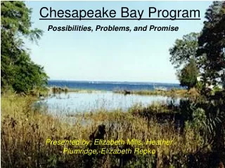 Chesapeake Bay Program