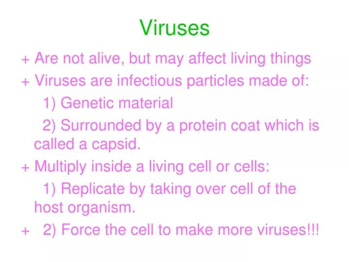 viruses