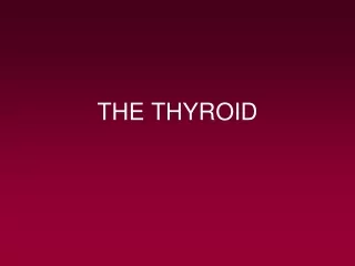 THE THYROID