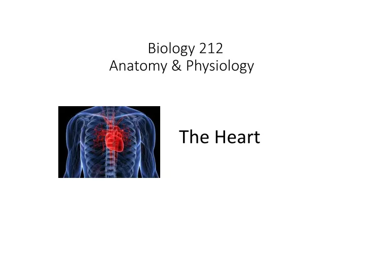 biology 212 anatomy physiology i