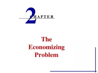 The  Economizing  Problem